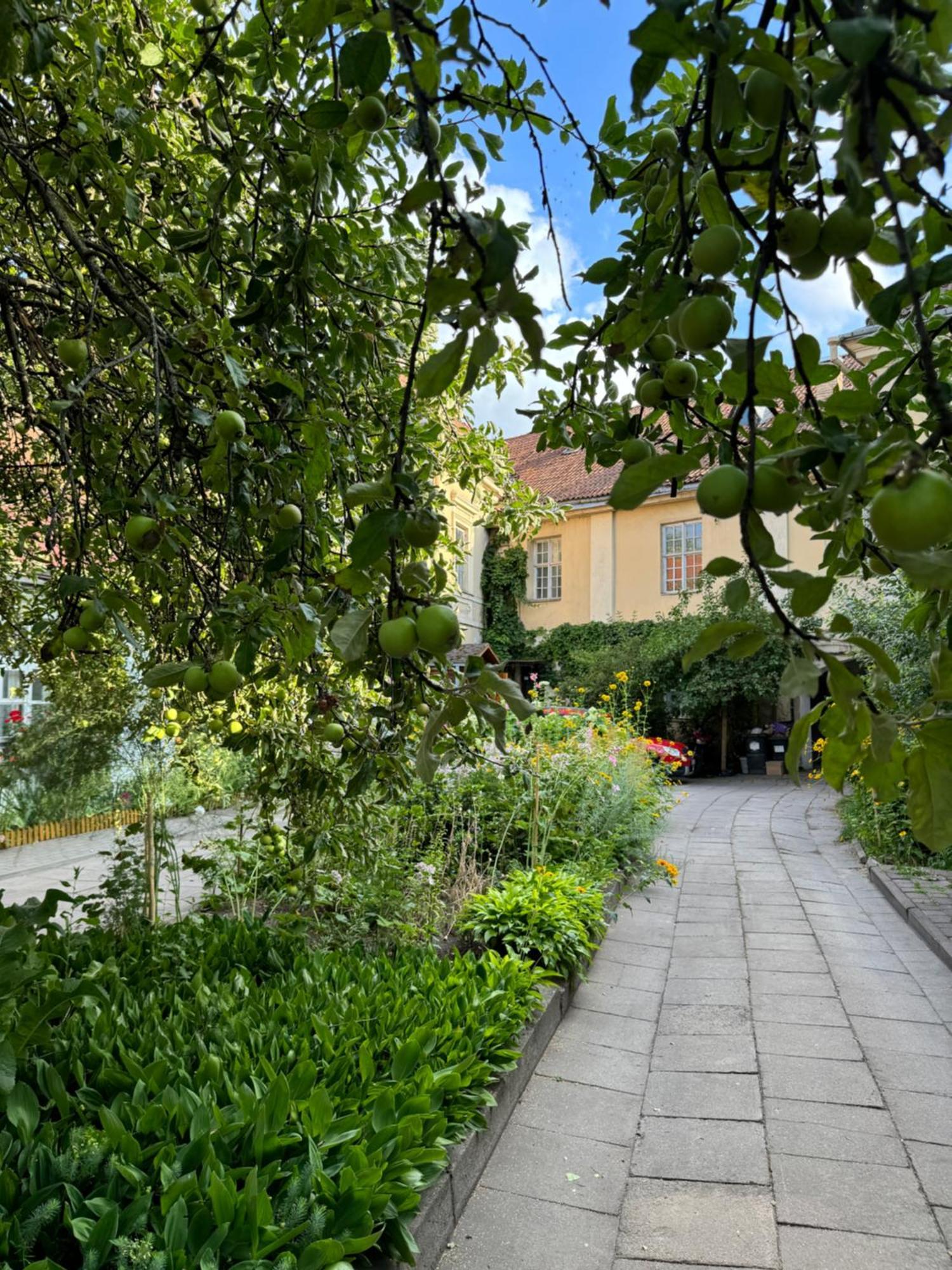 Heart Of With Little Appartamento Vilnius